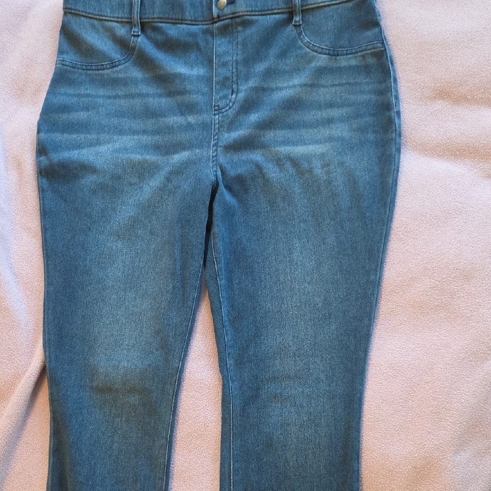 Time and Tru Women's Blue Jeggings